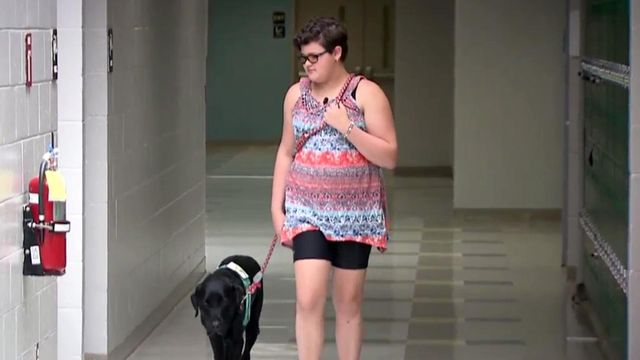 Service dog cuts girl's seizures from 90 minutes to 90 seconds
