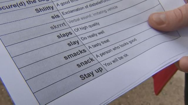 Teacher writes dictionary using student slang