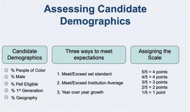 Candidate demographics