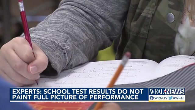 Experts: School test results do not paint full picture