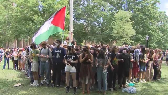 Palestine flag goes up at UNC on main quad