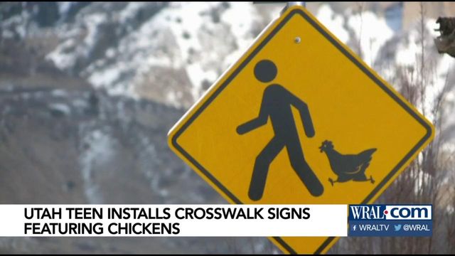 Utah teen installs crosswalk signs -- with chickens