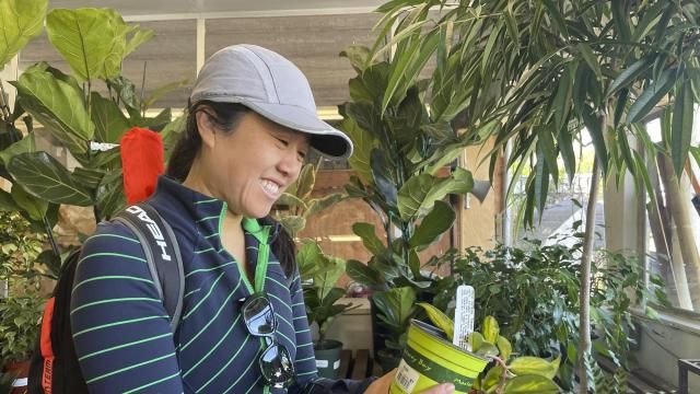 Customer Amy Ashcroft looks at a plant at Flowercraft at Flowercraft, a garden center, on March 13, 2024 in San Francisco. Garden centers enjoyed a pandemic boom, particularly with millennials, as people looked for outdoor activities during lockdowns. (AP Photo/Haven Daley) Customer Amy Ashcroft looks at a plant at Flowercraft at Flowercraft, a garden center, on March 13, 2024 in San Francisco. Garden centers enjoyed a pandemic boom, particularly with millennials, as people looked for outdoor activities during lockdowns. (AP Photo/Haven Daley)