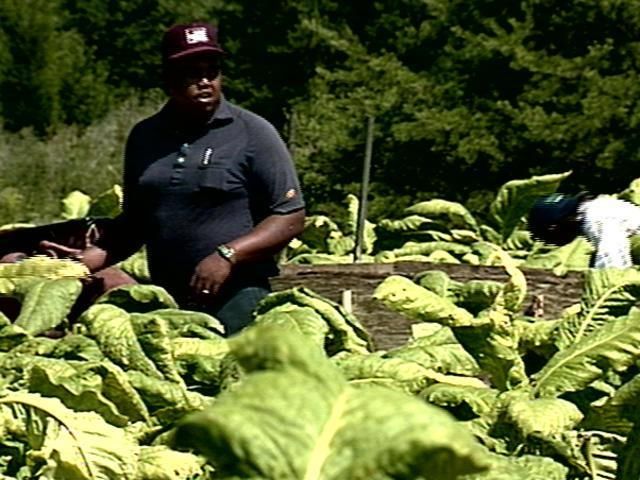 265 tobacco farm way Tobacco Farm and Old Trace Drive - Natchez Trace