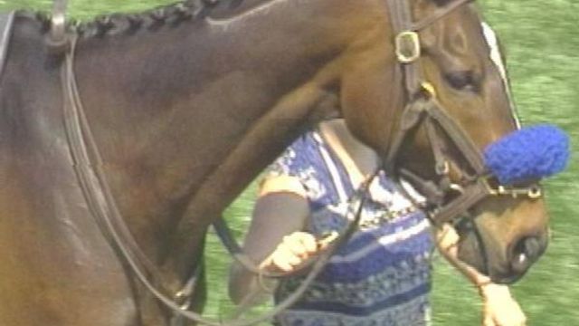 Steeplechase Attracts Horse Racing Fans In Clayton