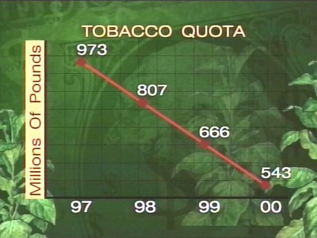 tobacco quota Farmers Welcome Small Tobacco Quota Increase