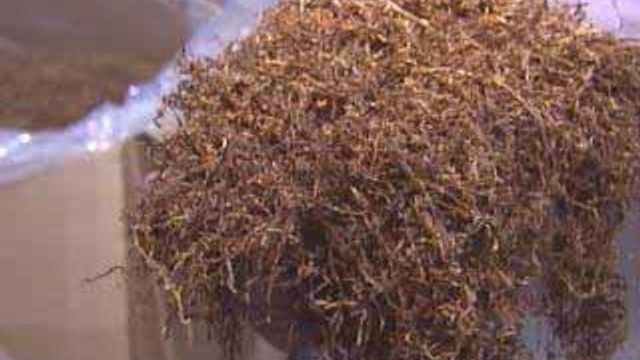 Tobacco Co-Op Proves Life After Buyout