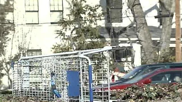 Raleigh Hopes to Corral Abandoned Shopping Carts