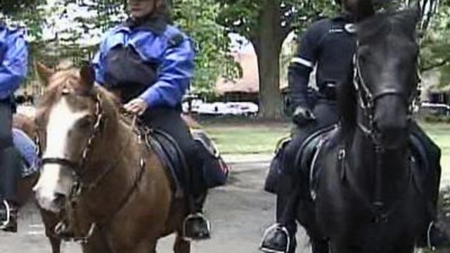 Raleigh Says Police Horses Need a New 'Station'