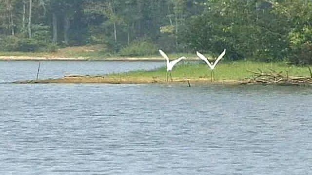 Questions Surround Creedmoor's Lake Dredging Project