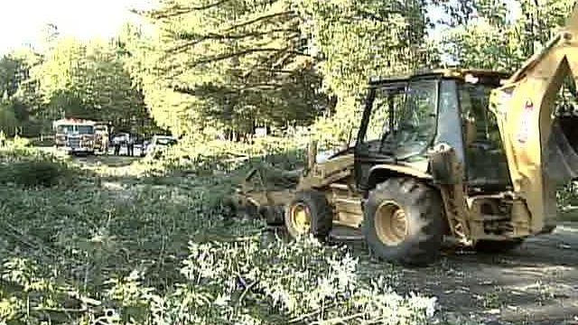 Fallen Tree Stumps Raleigh Motorists
