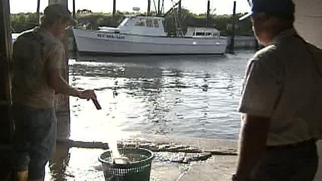 North Carolina Commercial Fishing Industry Taking a Spill 