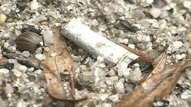 Raleigh Might Snuff Out Smoking in Parks