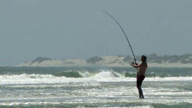 Recreational fishing license sales take dip
