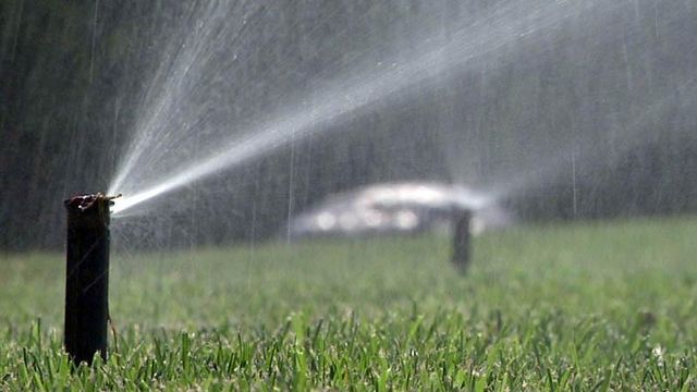Lawn-watering study could boost proposed restrictions