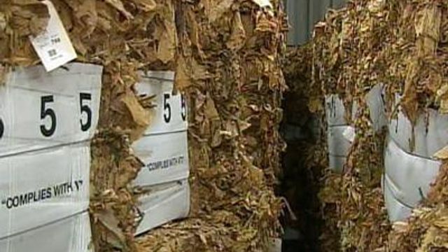 Wilson tobacco market opens