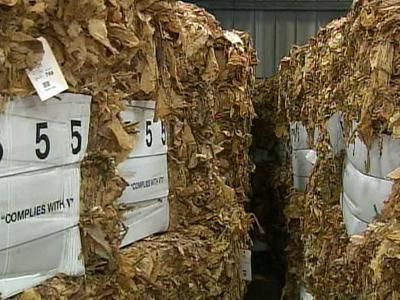tobacco inspection Tobacco Inspection Act tobacco inspection Tobacco Inspection Act