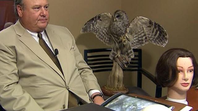 Web only: Owl theory has legitimacy, attorney says