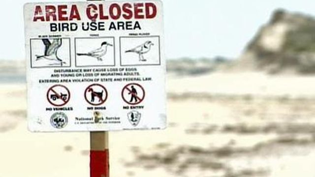 Are protected beaches keeping visitors from vacationing in N.C.?