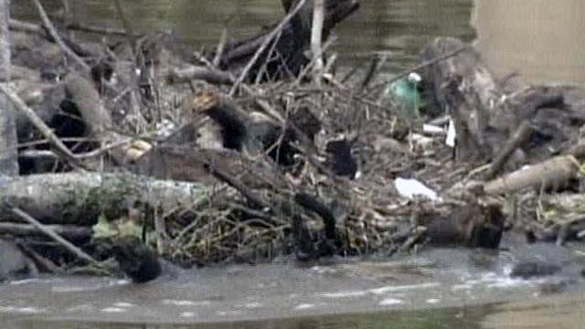 Trash from tropical storm's rain clogs rivers