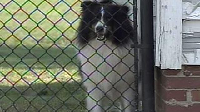 State Appeals Court to hear animal ordinance case