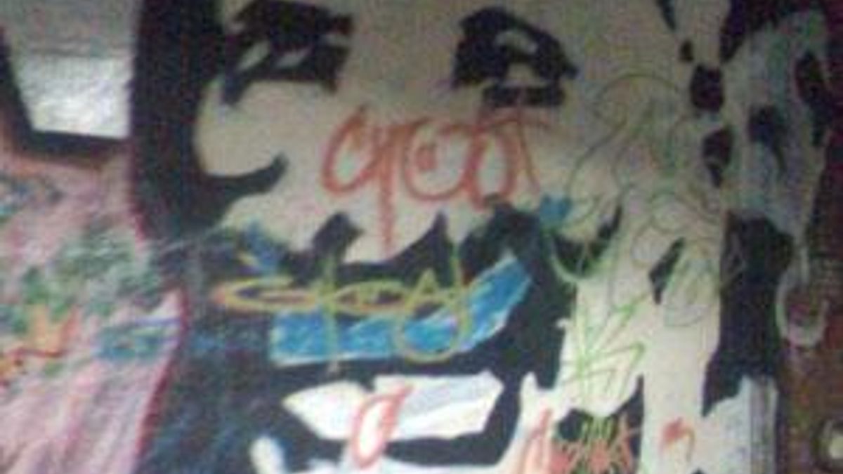 Kay Yow free expression tunnell blue paint graffiti 1/31/09