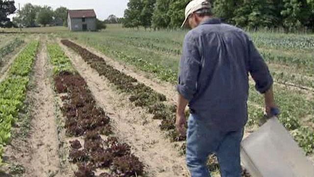 CSA farms can green your diet