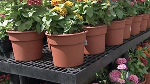 Plant growers want more space at Farmers Market 