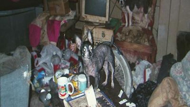 Seized animals from Wilson home are euthanized 