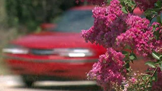 Highway flowers subject to budget cuts