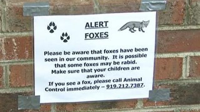 Residents on rabid foxes alert