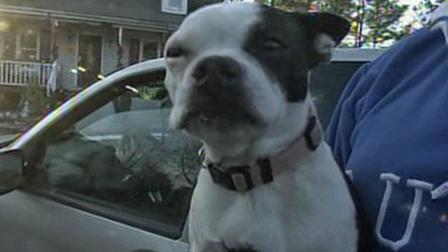 Canine hero alerts family to fire