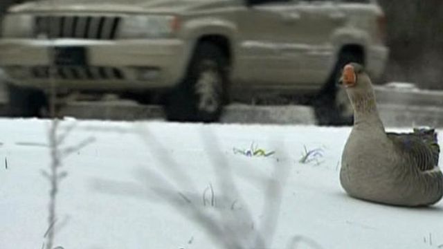Snow keeping road crews busy in Raleigh