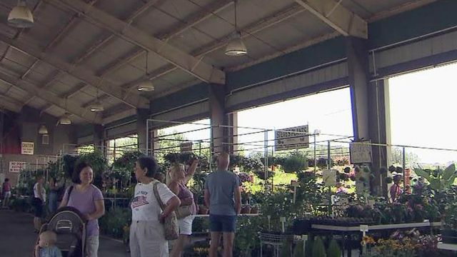 Covered stalls in high demand at Farmers Market