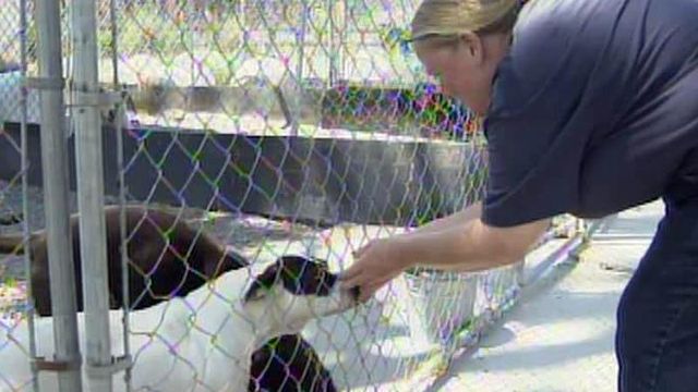 Animal shelter faces state deadline