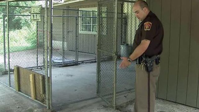 K9 dies after being let out of kennel