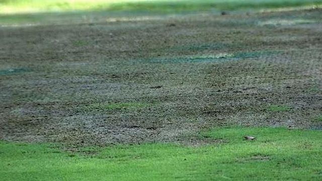 Summer heat takes toll on golf greens