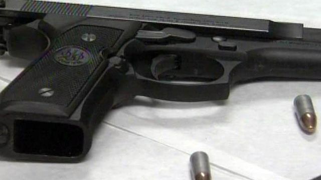 Resolution against federal gun laws called 'pointless'