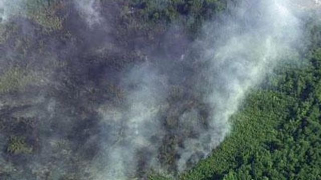 Fire burns Sampson County forest 