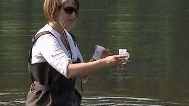 Counties test lakes for bacteria, decide closures 