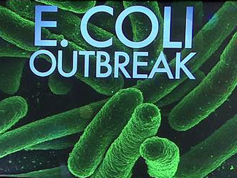 Suspected E Coli Outbreak Spreads   Ecoli 800x600 