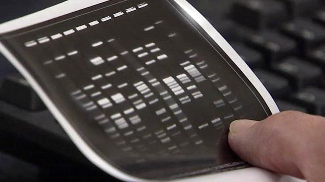 DNA typing used to pinpoint source of E. coli outbreak