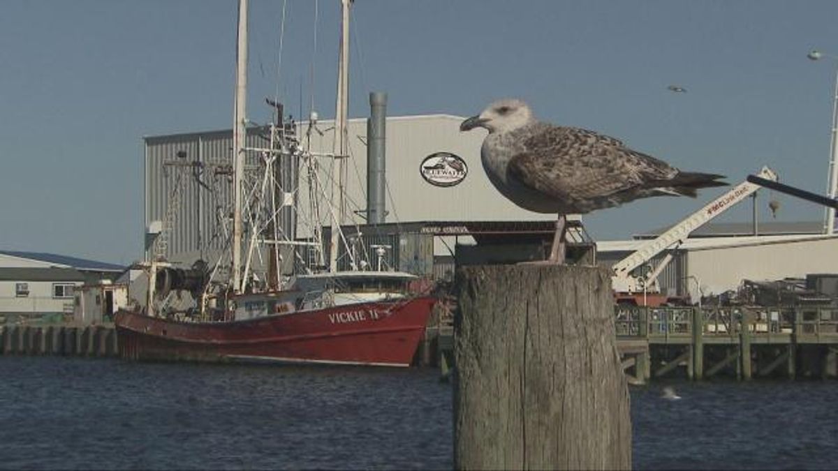 NC coastal fishermen: Oregon Inlet problems 'devastating'