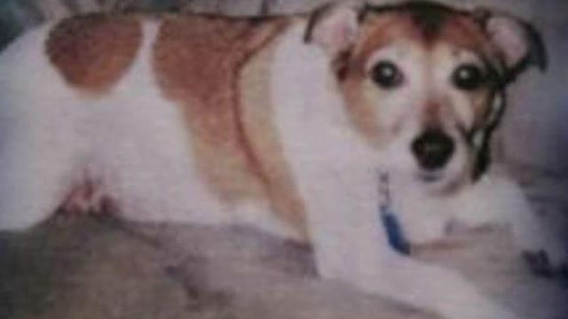 Court case could decide value of pet's life in NC
