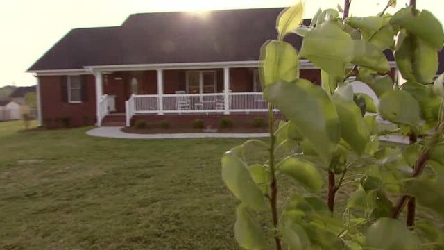 Lee County woman plants trees in tornado-ravaged area