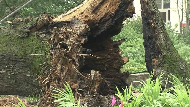 Strong storms Tuesday evening cause damage