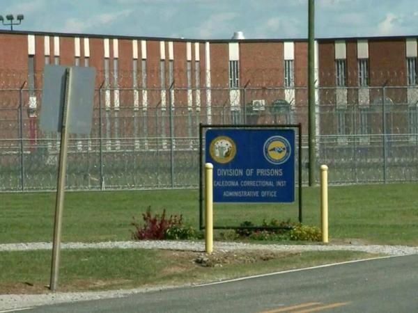 ロッド DIVISION Crime BoderPatorol Differential Actuator Kawasaki | NICHE PARTS