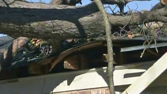 Wind blows tree onto Fayetteville house