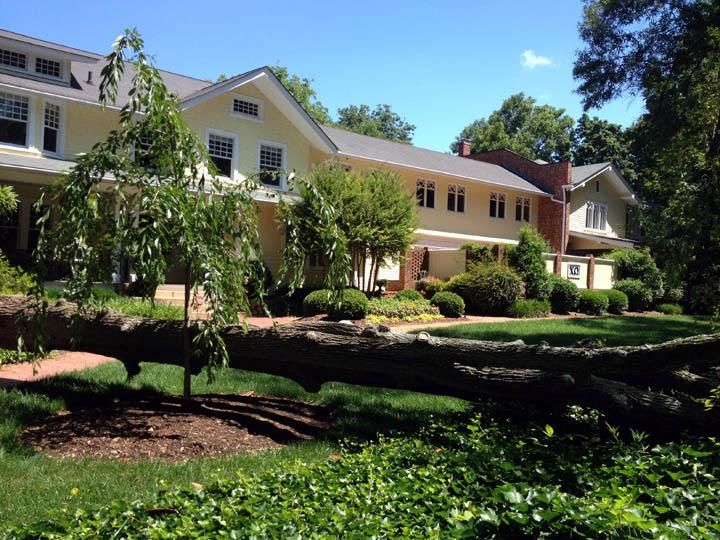 Uprooted tree kills UNC student in Chapel Hill