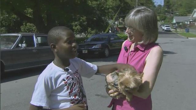 Stolen dog reunited with family